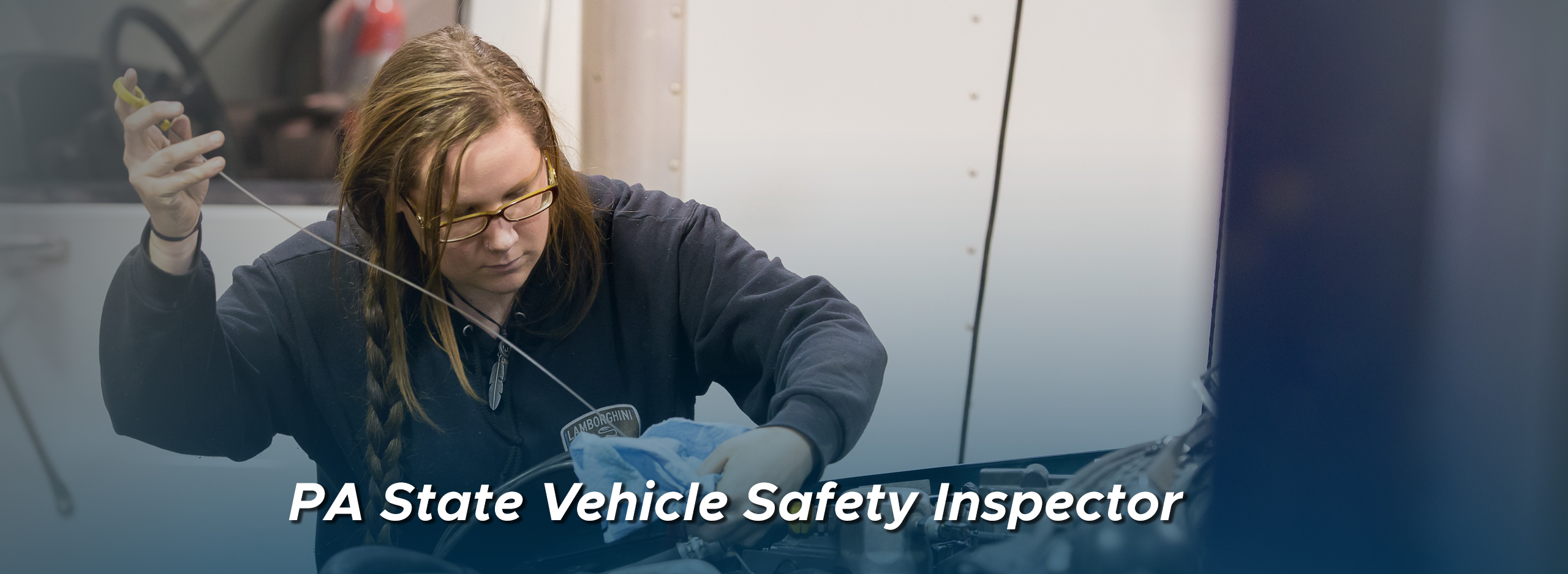 vehicle inspector
